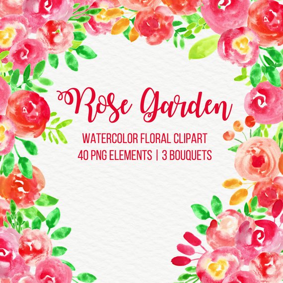 570x570 Watercolor Flowers Floral Clipart Clip Art Digital Handpainted Etsy