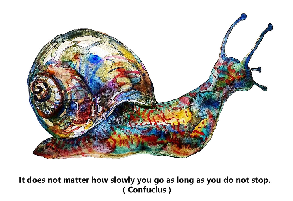 1024x703 Snail Quote Slow Confusion Watercolor By Frits Ahlefeldt