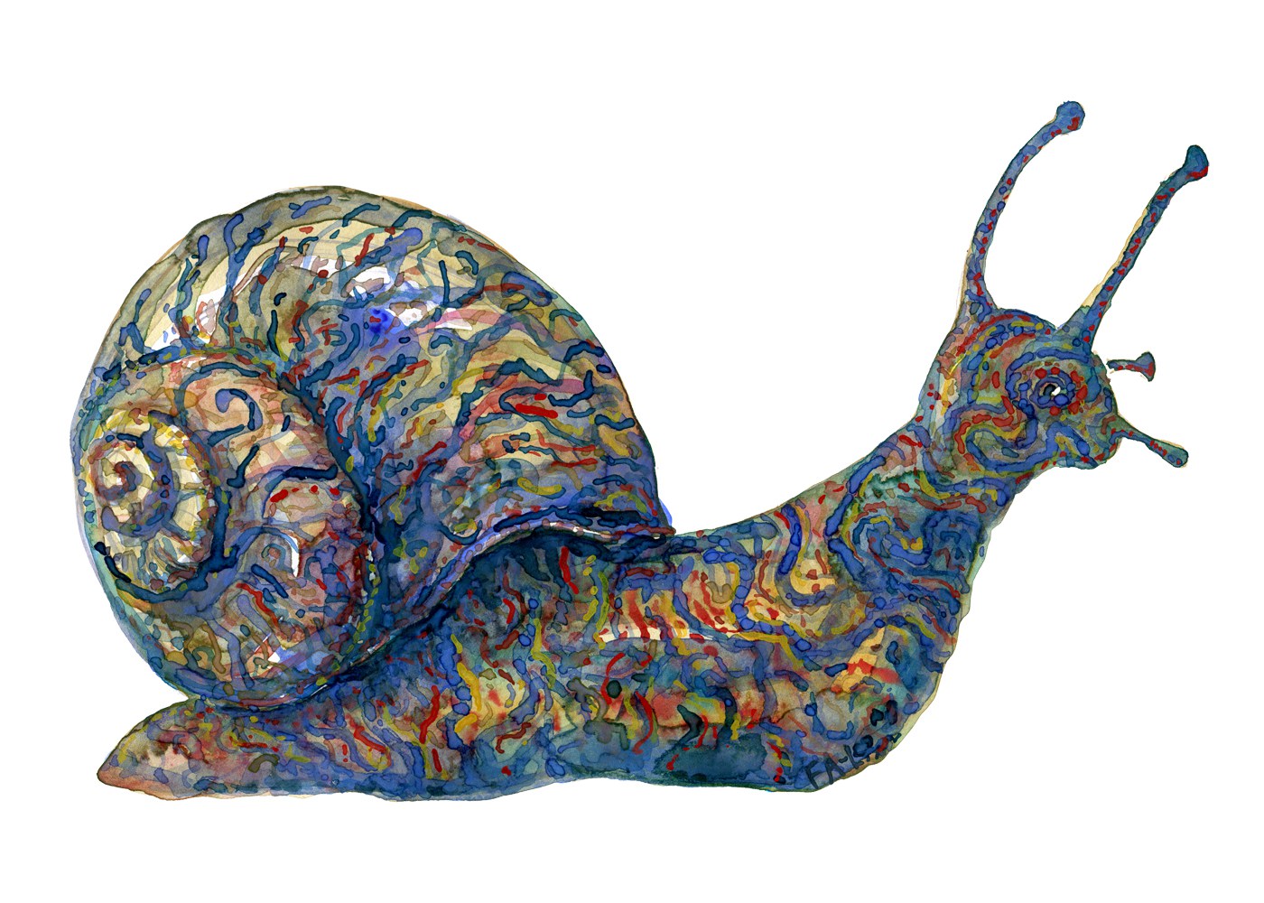 1400x1000 Tribal Snail Watercolors Frits Ahlefeldt