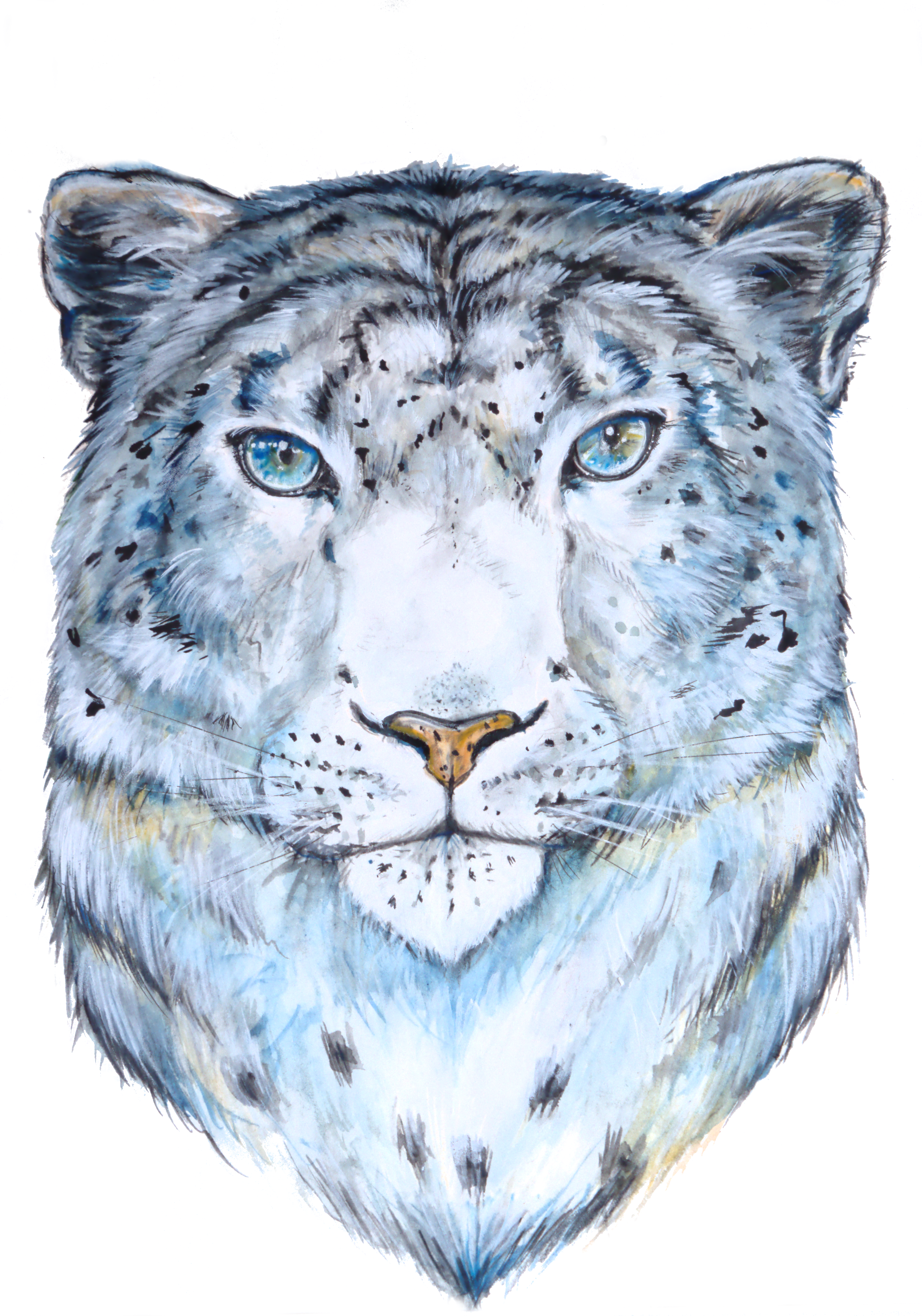 3993x5698 Print Of Watercolor Snow Leopard