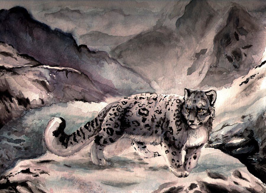900x653 Snowleopard In Watercolor By On