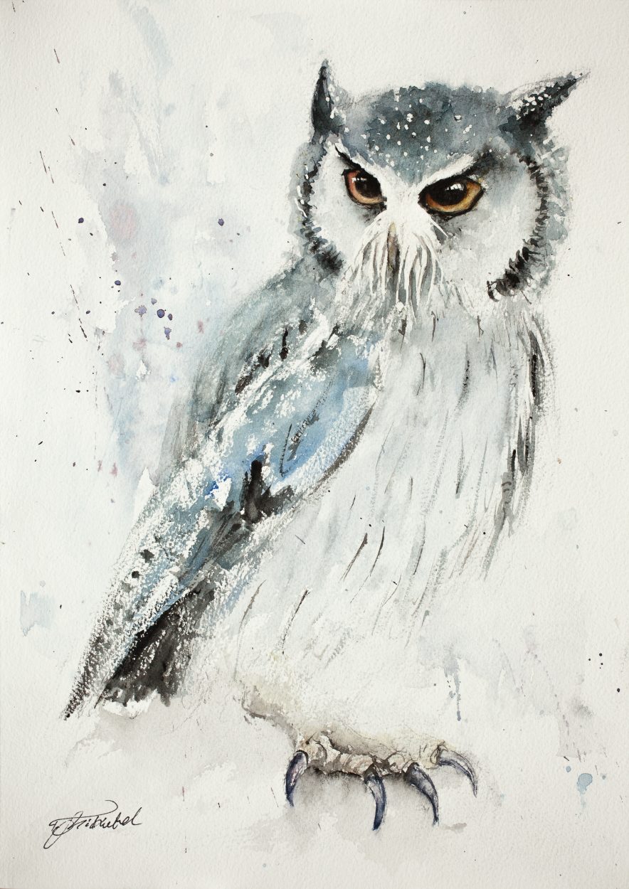 884x1250 Owl (Original)