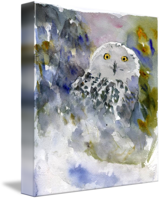 522x650 Snowy Owl, Watercolor Art By Miriam Schulman