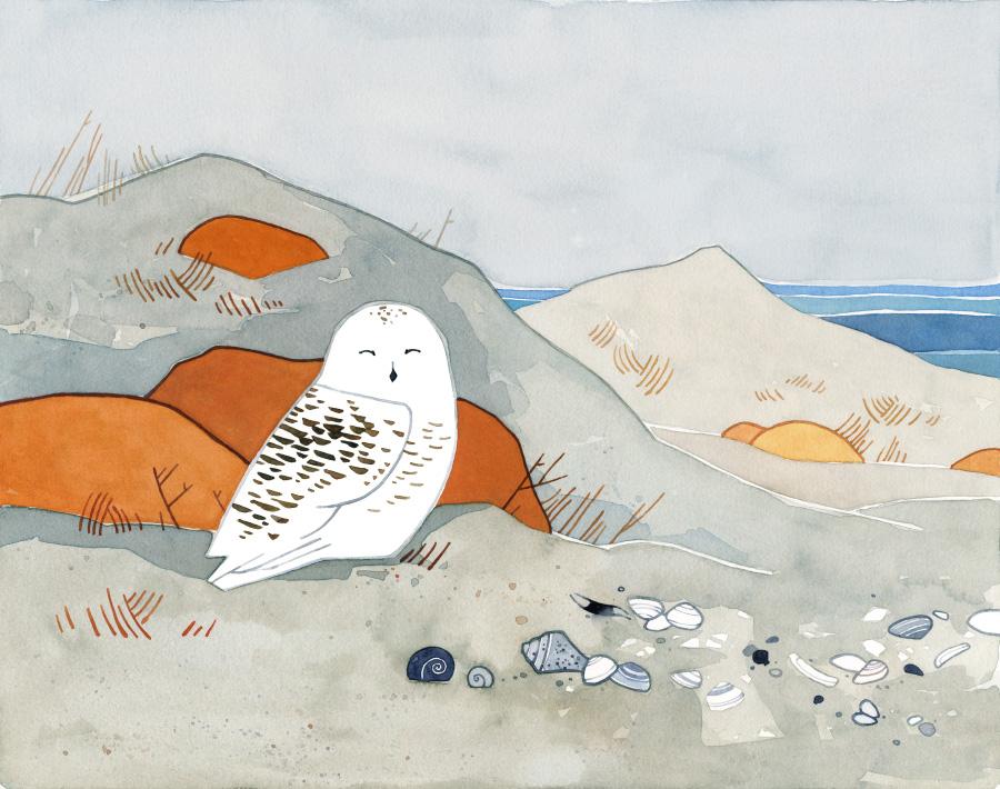 900x710 Snowy Owl Beach Print, Watercolor Art Print
