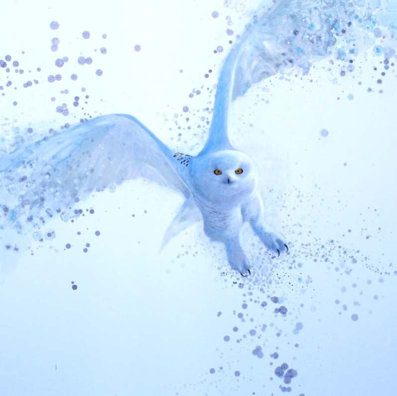 797x794 Snowy Owl Watercolor