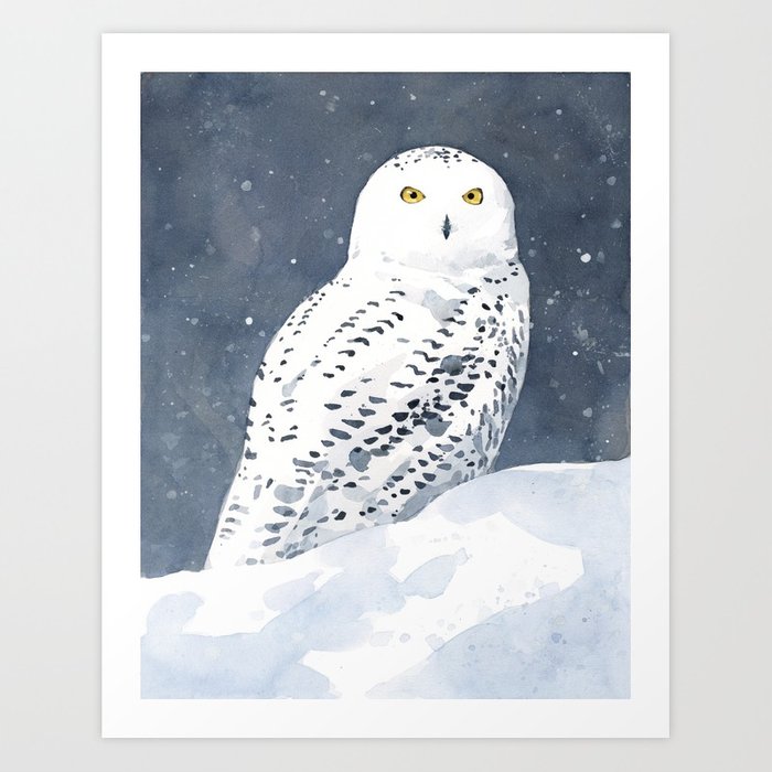 700x700 Snowy Owl Watercolor Art Print By Studiotuesday Society6
