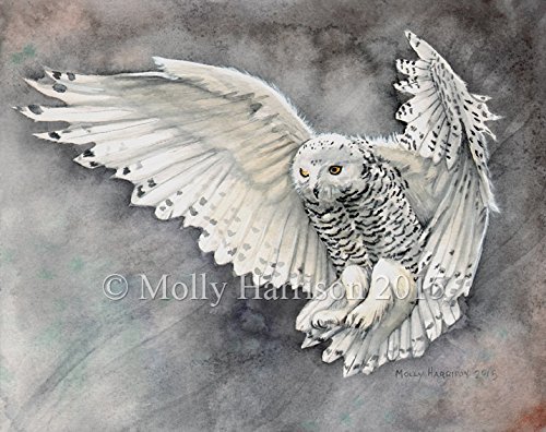 500x396 Snowy Owl Fine Art Giclee Print Watercolor Handmade