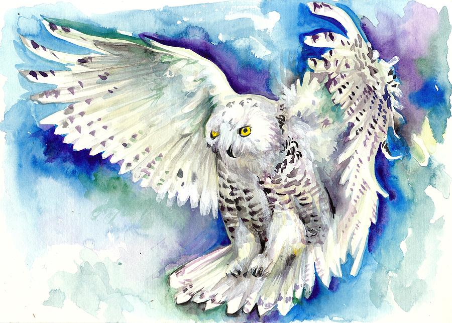900x643 White Polar Owl