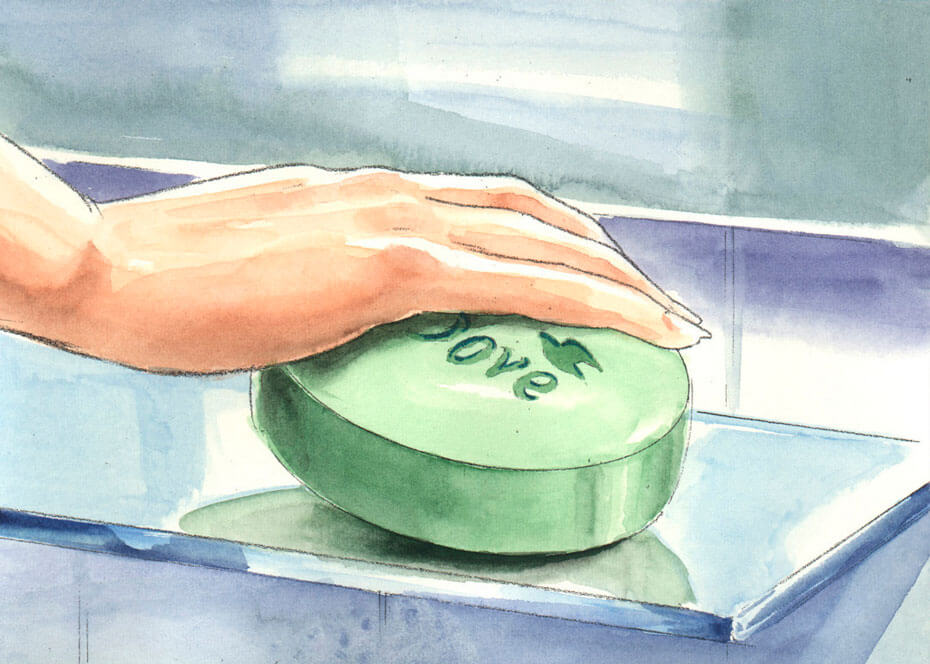 930x664 Envisionaire Dove Soap