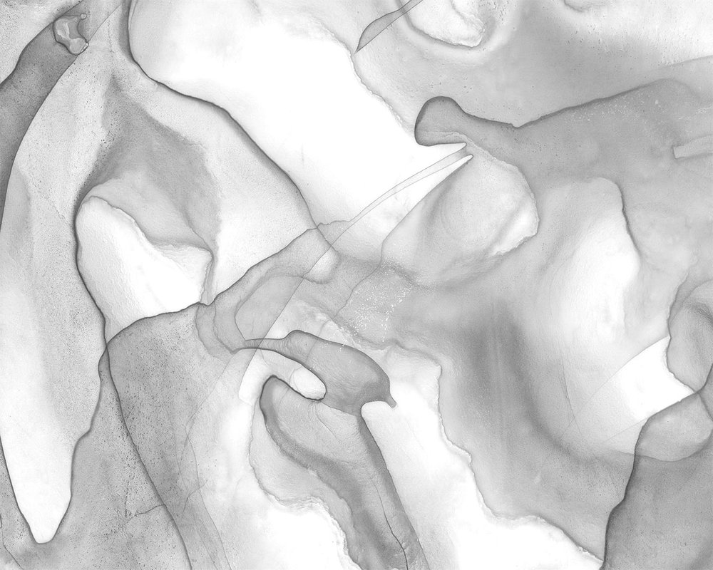 1000x800 Soft Watercolor Black Crow Studios