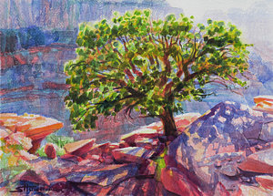 300x215 Southwest Watercolor Paintings Fine Art America