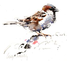 236x217 Madeleine Floyd