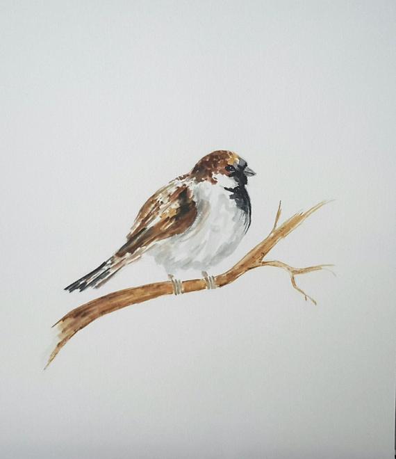 570x660 Original Watercolour Painting Of Sparrow Watercolour Bird Etsy