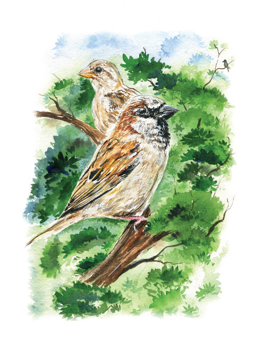 1000x1341 Sparrow, Painting By Rohit Gohil Contemporary Artwork On