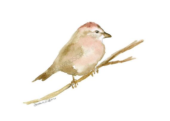 570x407 Sparrow Watercolor Painting 7x5 Giclee Print Reproduction Etsy