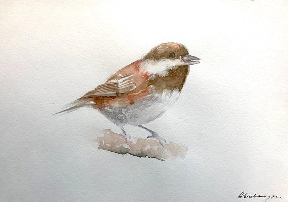570x401 Sparrow Watercolor Artwork Handmade Painting Illustration