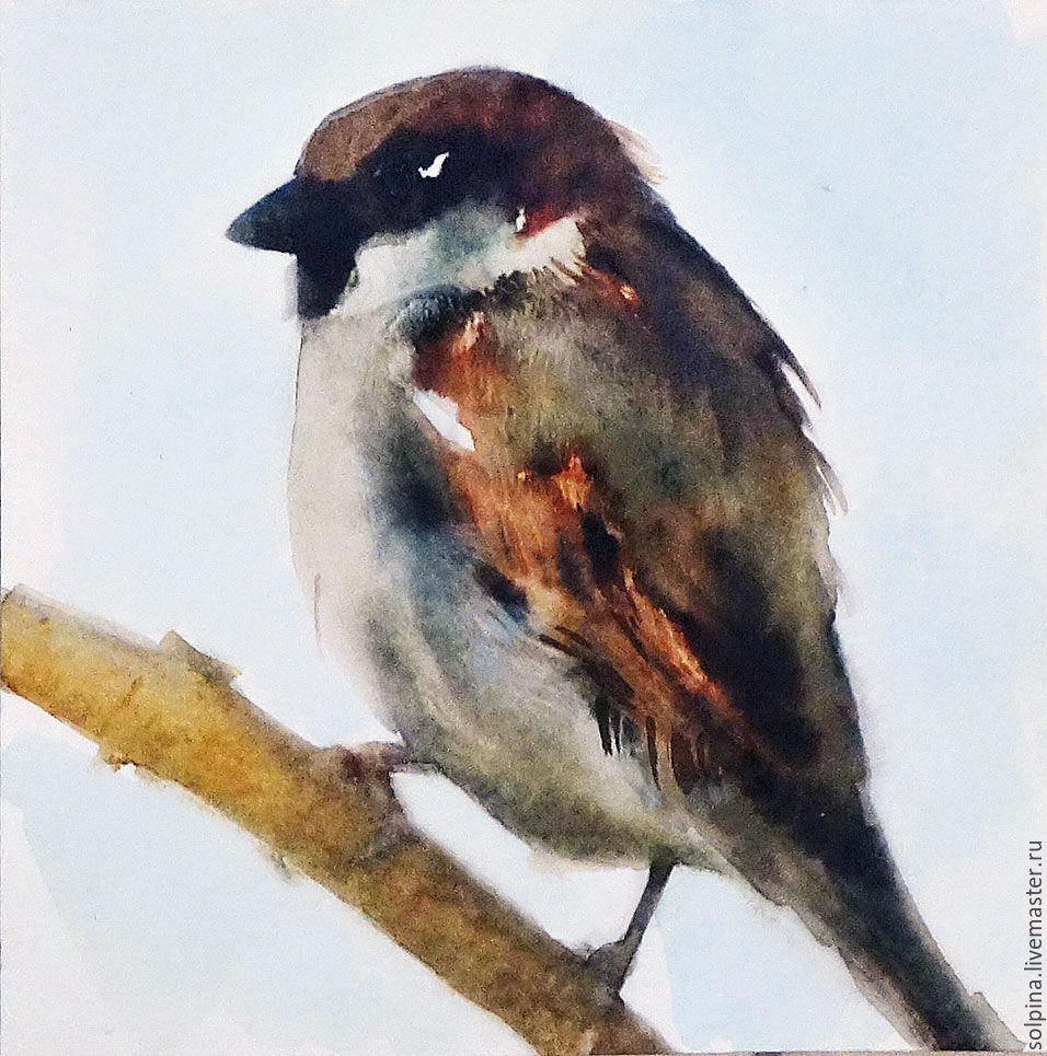 956x965 Sparrow On A Branch. Watercolor Shop Online On Livemaster With