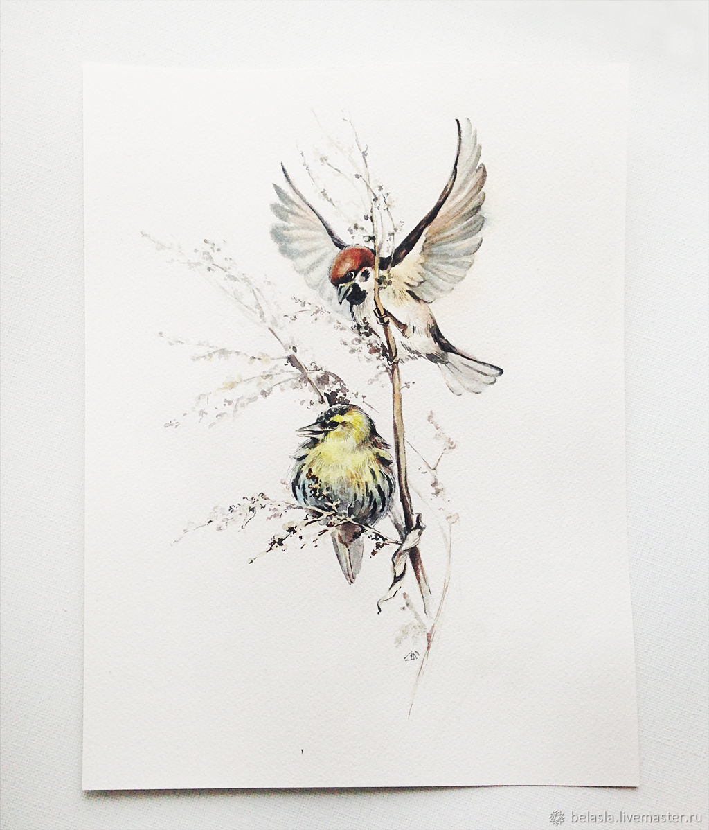 1024x1198 Watercolor Painting Sparrow And Siskin Shop Online On Livemaster