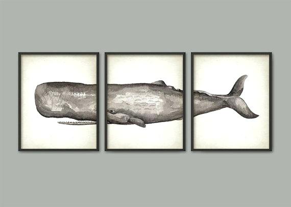 570x407 Sperm Whale Art Print Set Of 3 Large Triptych Toothed Watercolor