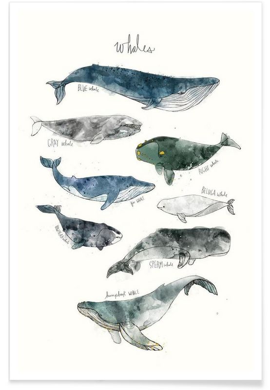 554x800 Sperm Whale Cartoon Six Whales Stacked Archival Print Watercolor