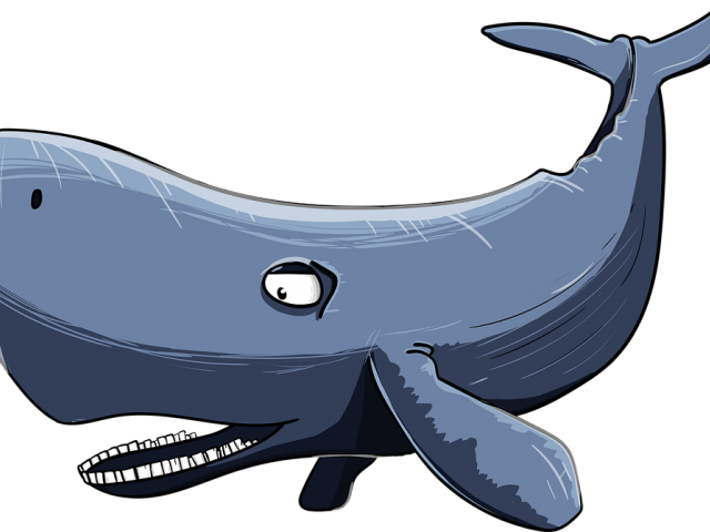 640x480 Sperm Whale Clipart Watercolor 1