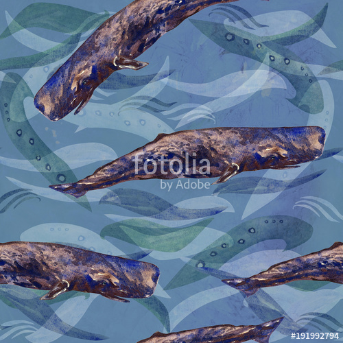 500x500 Sperm Whale, Cachalot, Hand Painted Watercolor Illustration