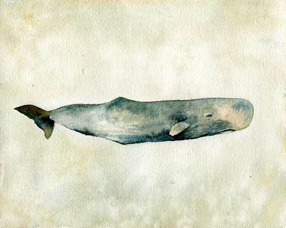 570x453 Sperm Whale Sea Painting Original Watercolor Painting