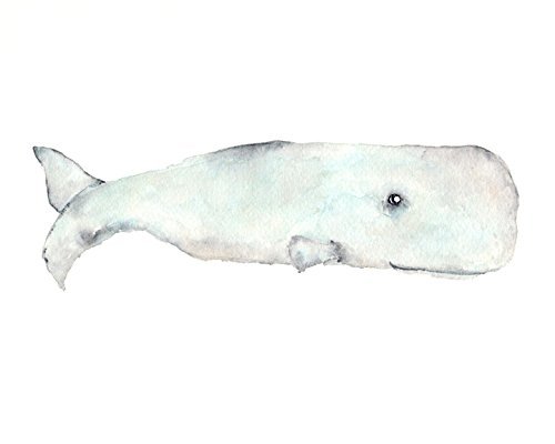 500x400 Watercolor Sperm Whale Animal Painting