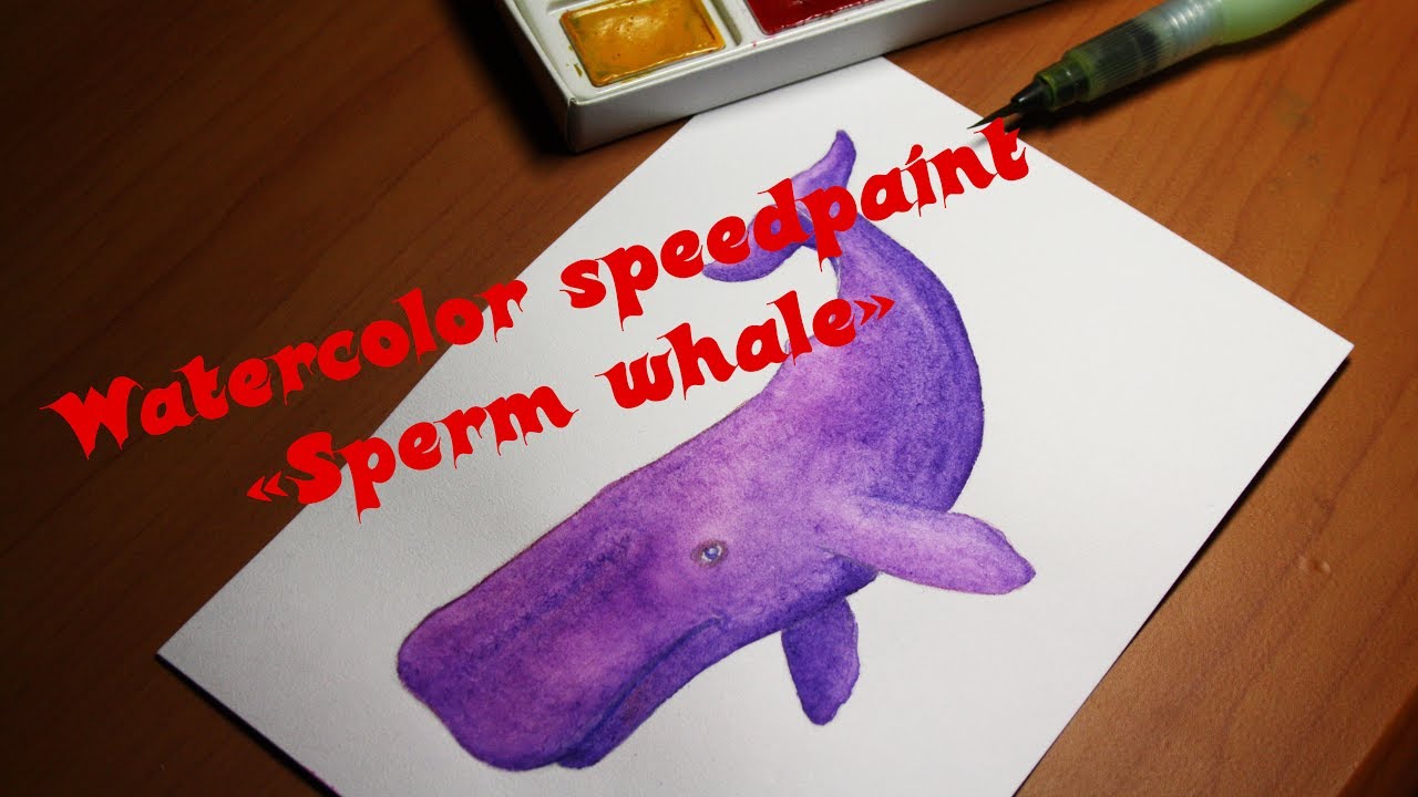 1280x720 Watercolor Sperm Whale