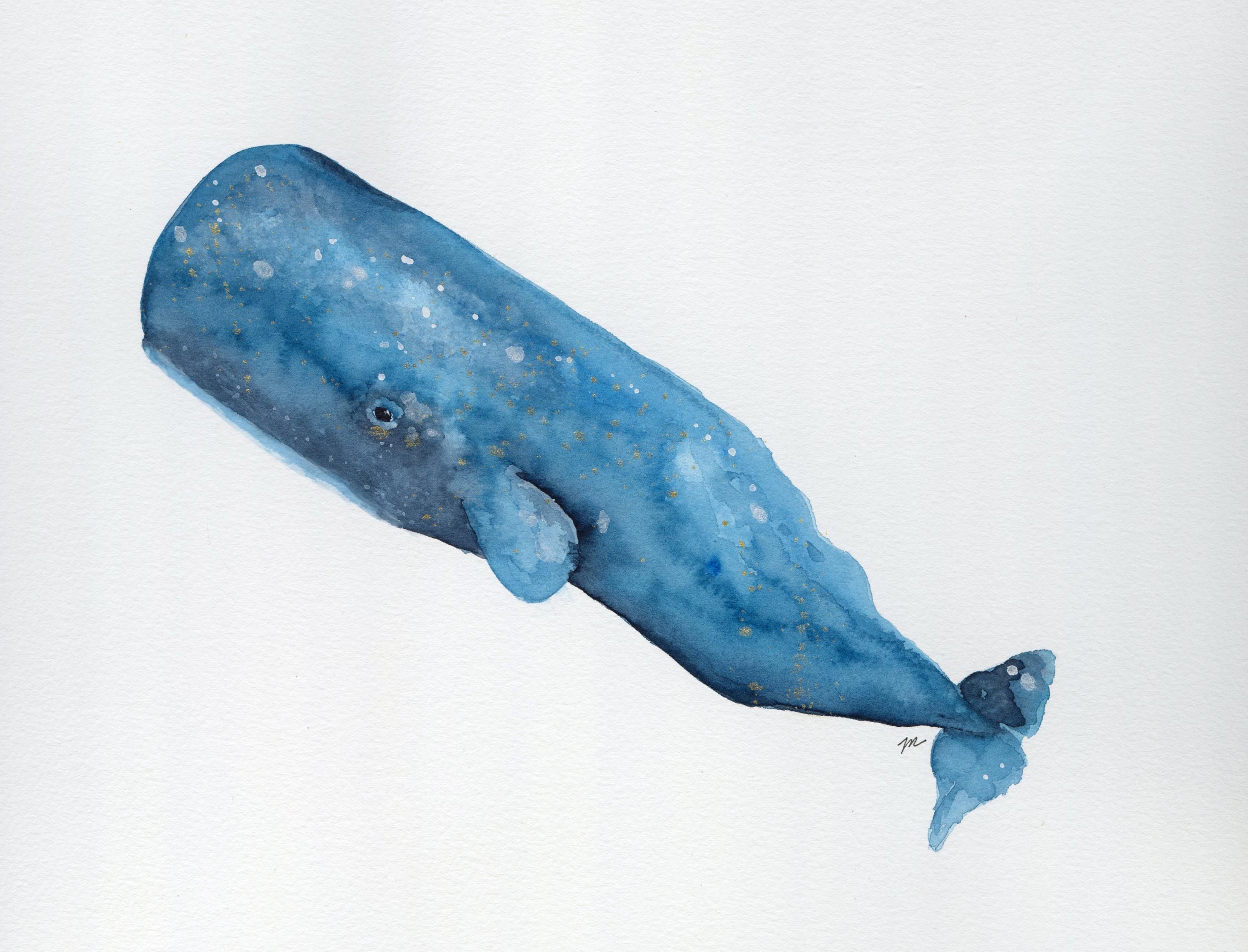 3252x2482 Watercolor Sperm Whale My Art Watercolor