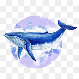 260x260 Whales Png Amp Whales Transparent Clipart Free Download