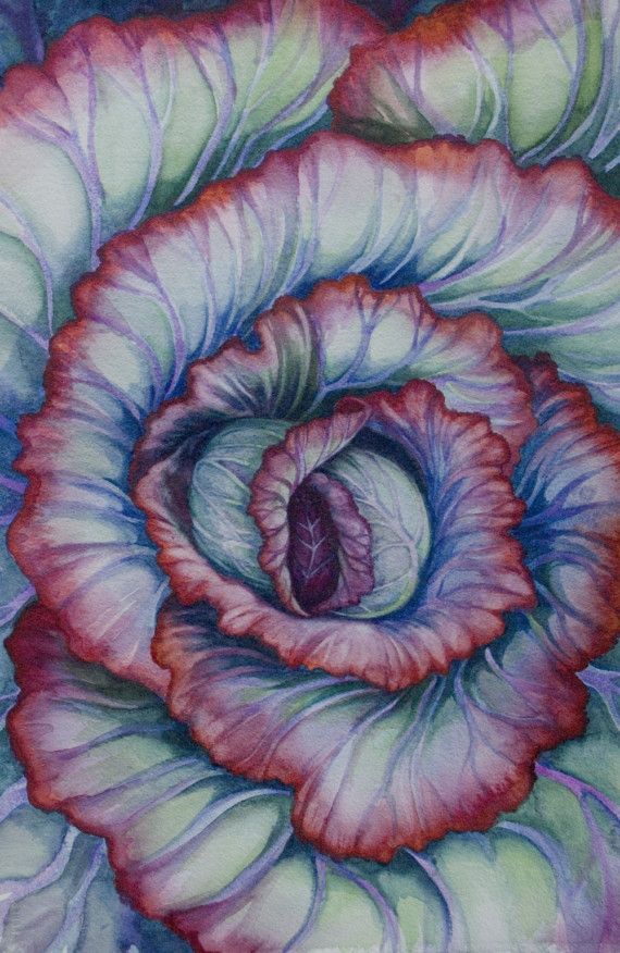 570x876 Spiral Cabbage Original Watercolor Painting Art Paintings