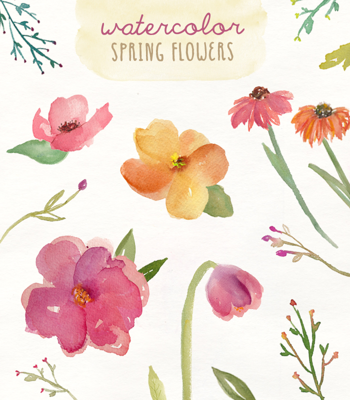 700x800 These Watercolour Clip Art Spring Flowers Are Super Cute!