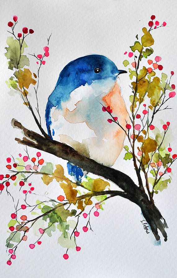 570x893 Original Watercolor Painting Bird In A Spring By Artcornershop