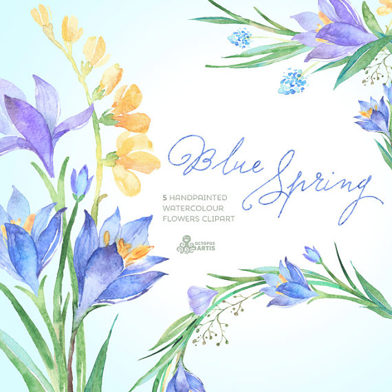 570x570 Blue Spring Watercolour Flowers Clipart. Handpainted Watercolor