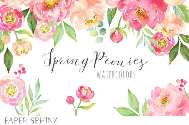 642x427 Watercolor Peonies Clipart Spring Wedding Flowers Coral Etsy