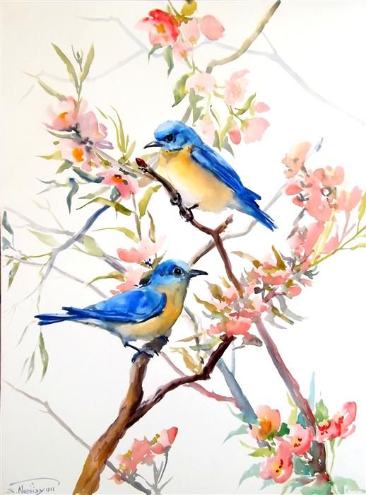 518x700 Image Result For Easy Watercolor Paintings For Beginners Art