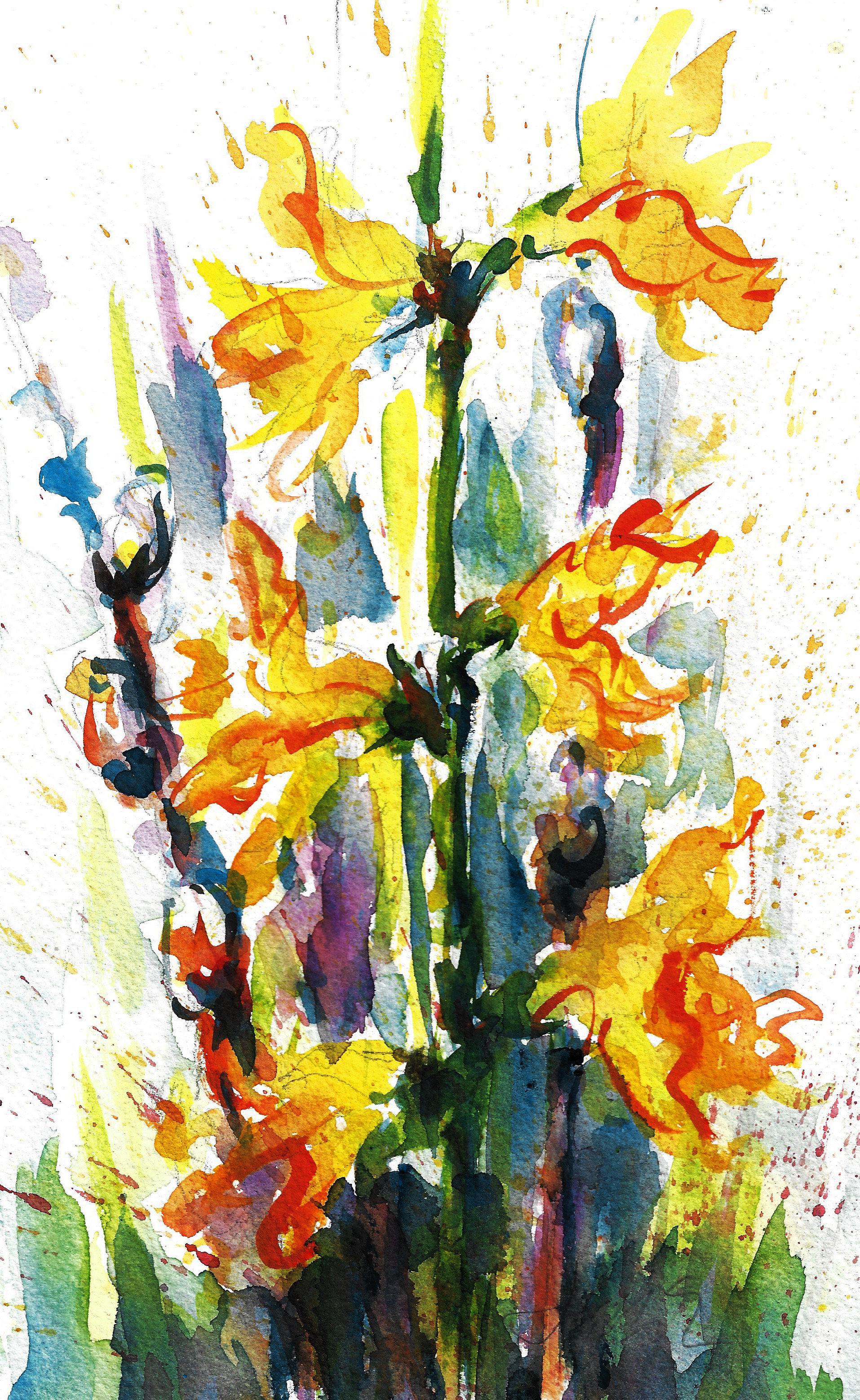 1914x3114 Jacki Kellum