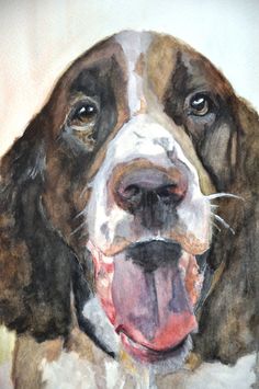 Springer Spaniel Watercolor