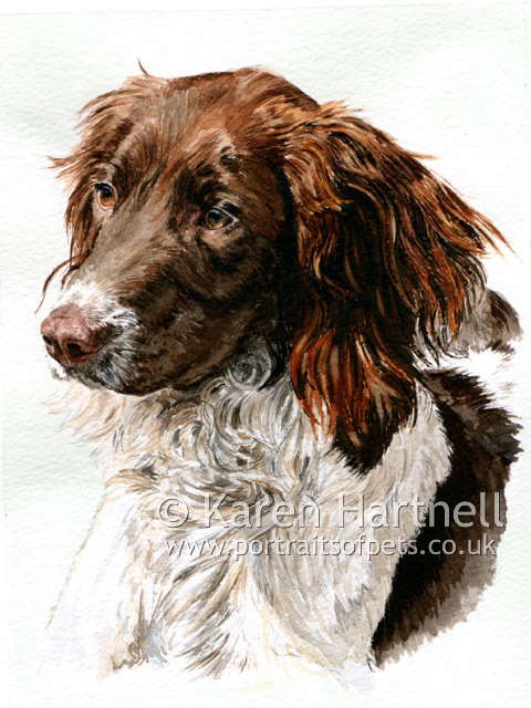 480x640 Karen Hartnell