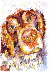 212x300 Springer Spaniel Print From Original Watercolour Painting