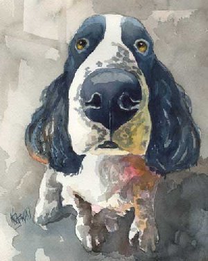 300x375 Springer Spaniel (Black Amp White) Watercolor Portrait 080505