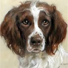 225x225 Springer Spaniel Art Print Of Original Watercolor Painting 11x14