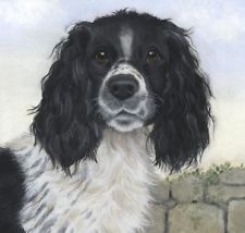 225x214 Springer Spaniel Painting Ebay