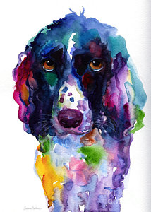214x300 Springer Spaniel Paintings Fine Art America