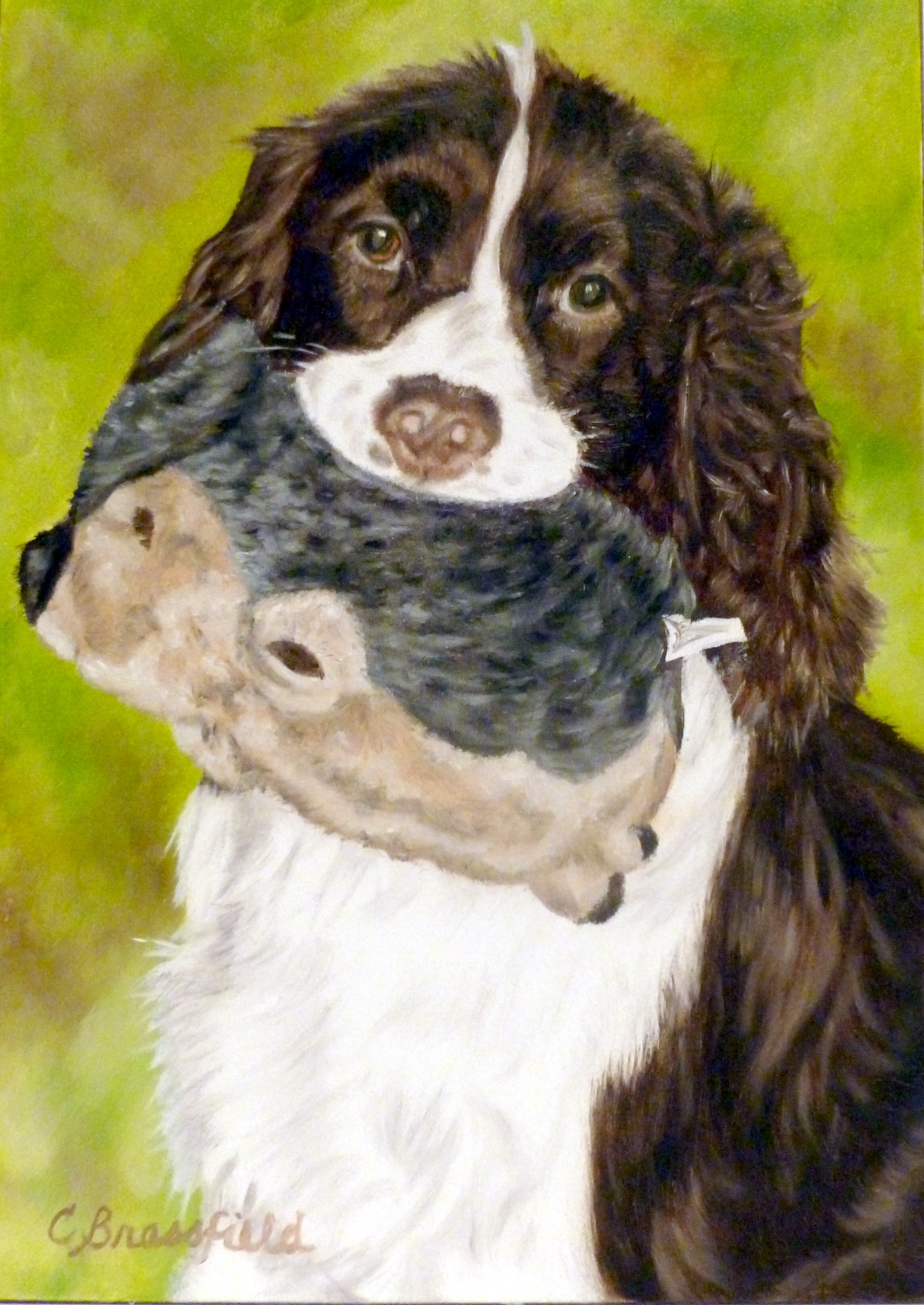 2328x3288 Springer Spaniel Art Brassfield Creatives
