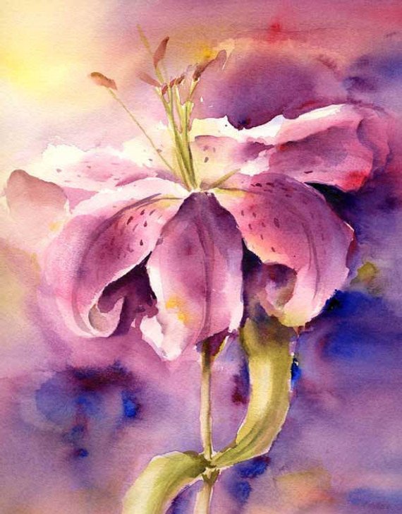570x728 Stargazer Lily Art Watercolor Painting Print By Etsy