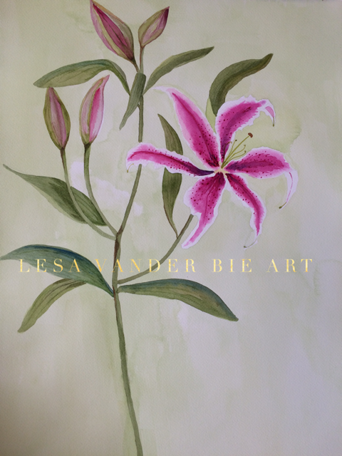 480x640 Stargazer Lily Lesa Vander Bie Art