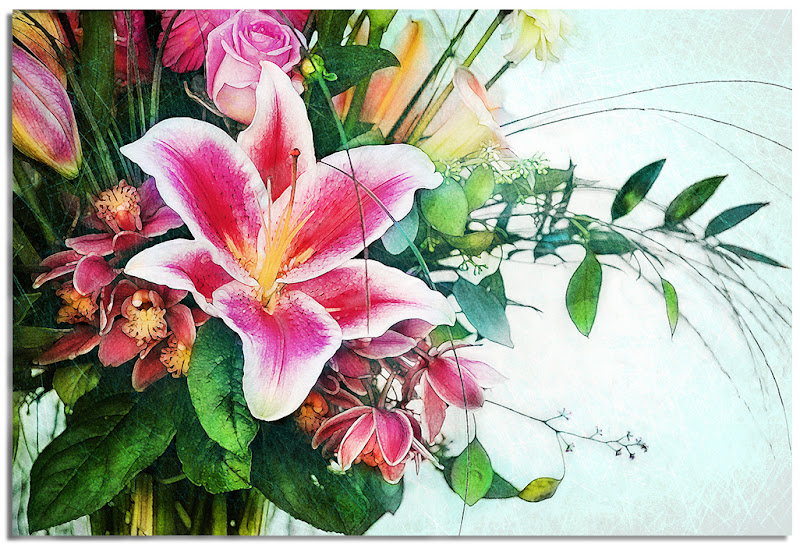 800x548 Janicedarby Watercolor Stargazer Lily