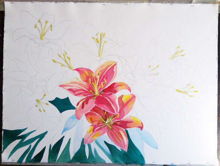 720x544 Starting Watercolor Of Lily Flowers